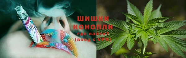 mdpv Козловка