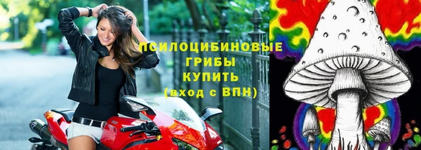 прущая мука Козельск