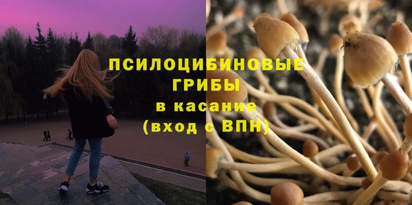 mdpv Козловка