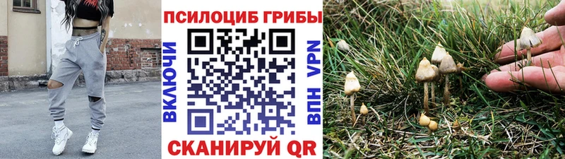 Галлюциногенные грибы Cubensis Купить Выкса
